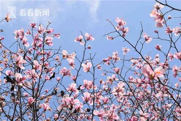国产精品18久久久_割双眼皮什么梗